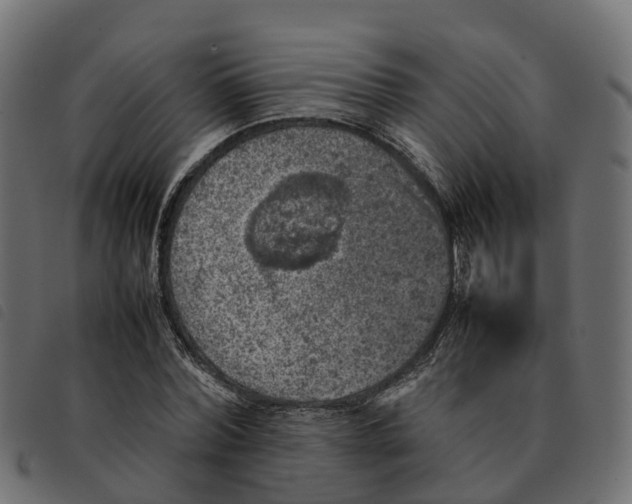 X0000092220780200710121156