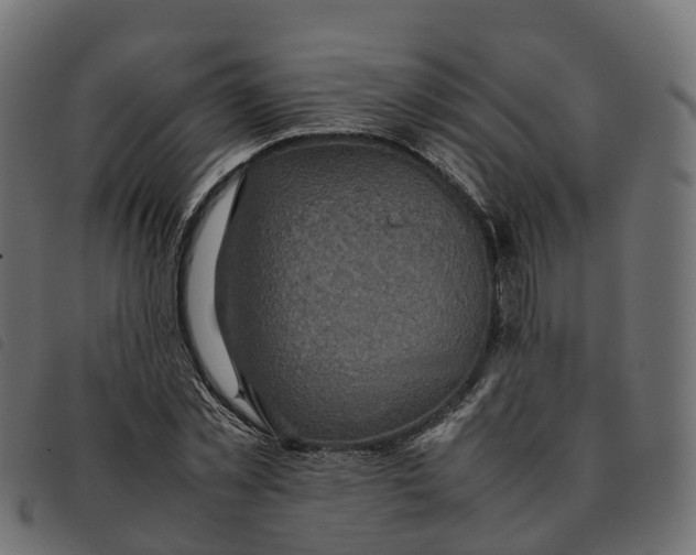 X0000092220781200710121156
