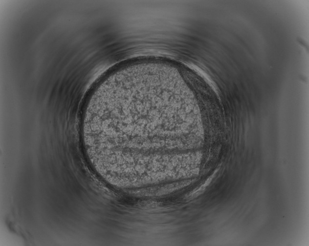 X0000092220783200710121156