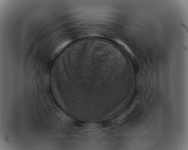 X0000092220785200710121156
