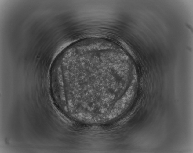 X0000092220787200710121156