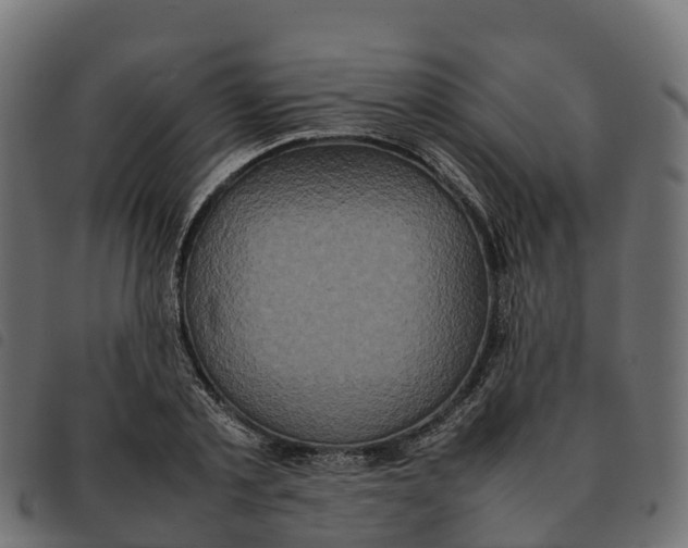 X0000092220789200710121156