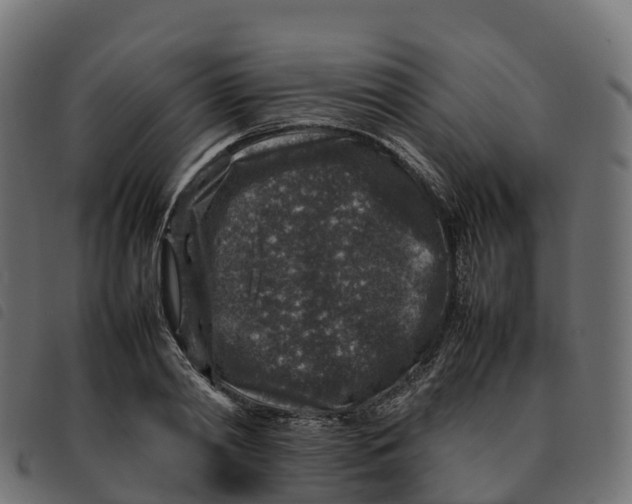 X0000092220790200710121156