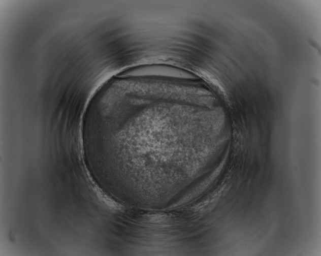 X0000092220792200710121156