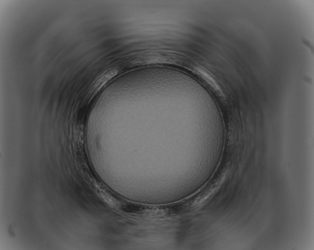 X0000092220793200710121156