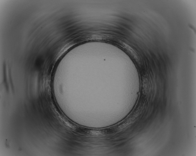 X0000092220794200710121156