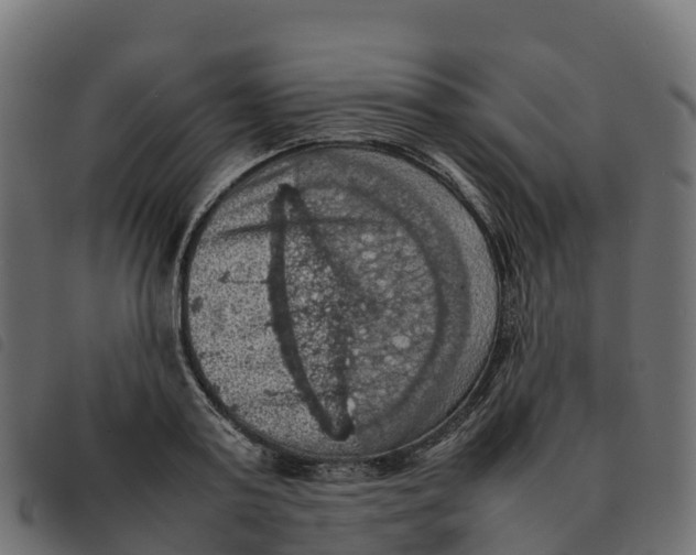 X0000092220795200710121156