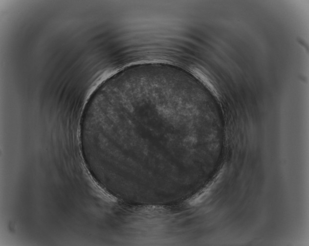 X0000092220797200710121156