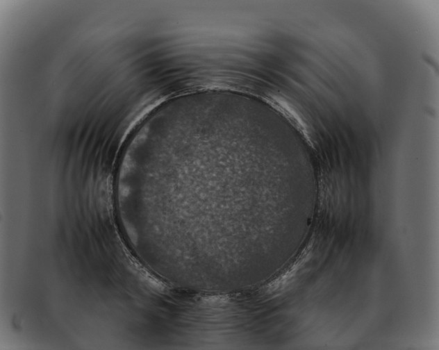 X0000092220798200710121156
