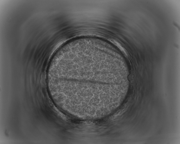 X0000092220799200710121156