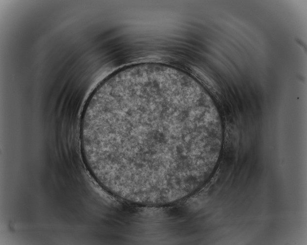 X0000092220800200710121156