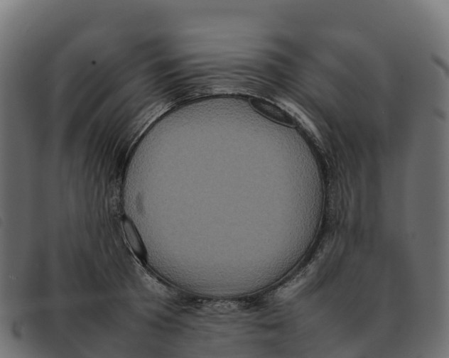 X0000092220801200710121156