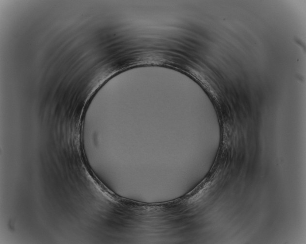 X0000092220802200710121156