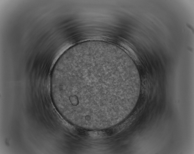 X0000092220804200710121155