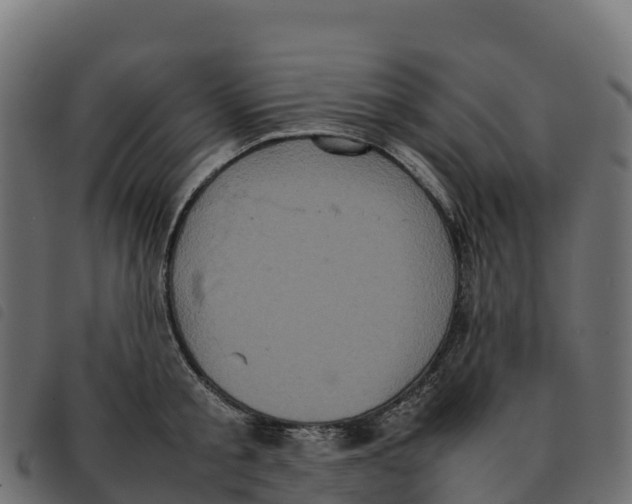 X0000092220805200710121155