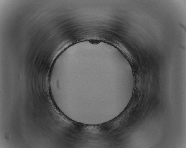 X0000092220806200710121155