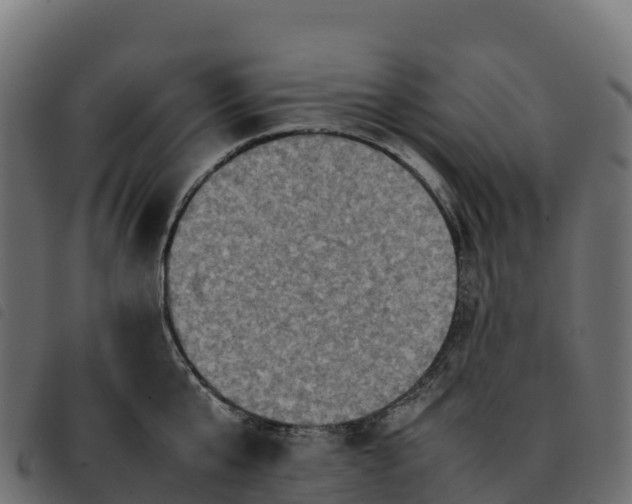 X0000092220807200710121155