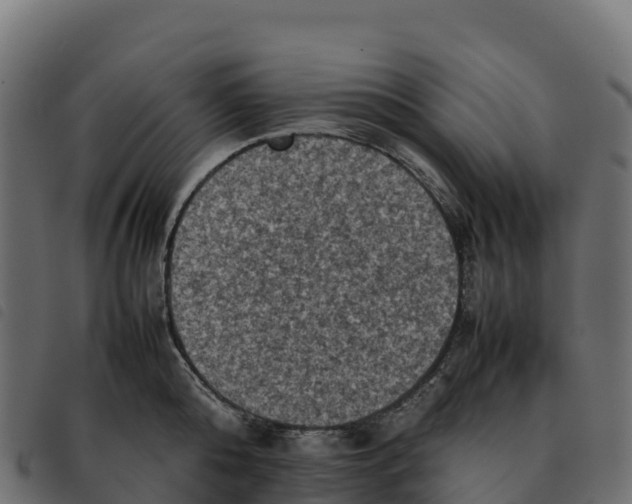 X0000092220808200710121155