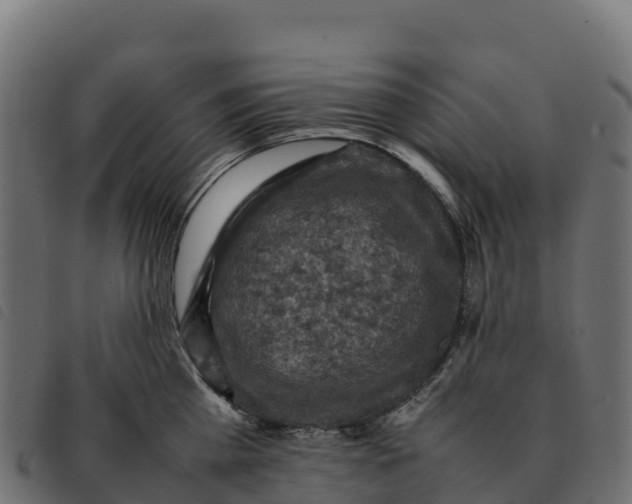 X0000092220809200710121155