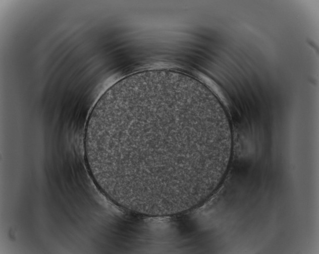 X0000092220810200710121155