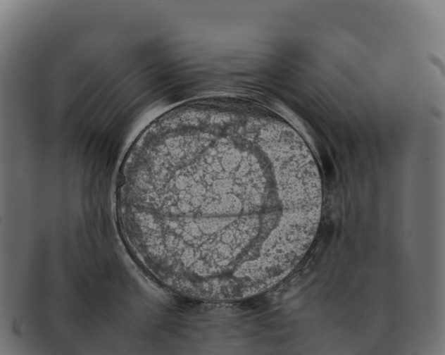 X0000092220811200710121155