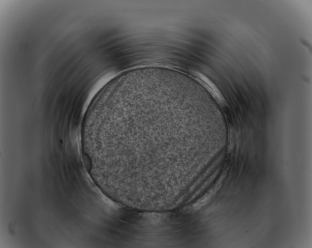 X0000092220812200710121155