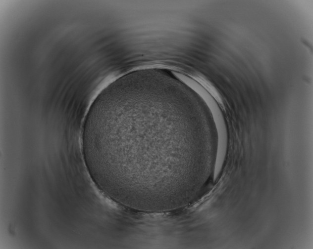 X0000092220813200710121155