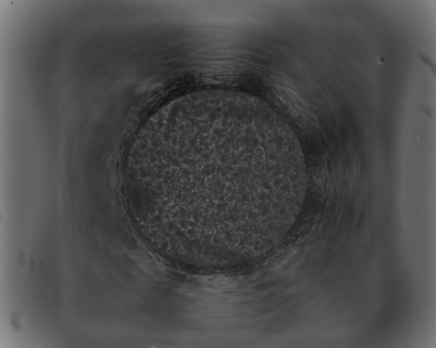 X0000092220817200710121155