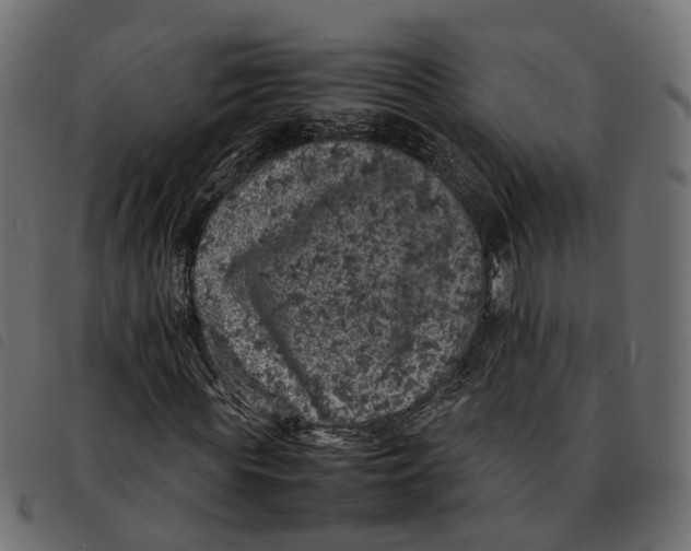 X0000092220819200710121155