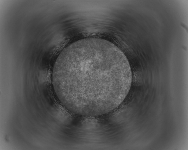 X0000092220820200710121155