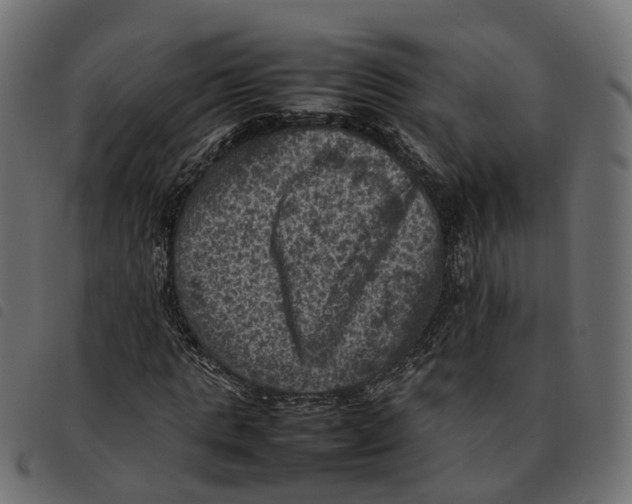X0000092220821200710121155