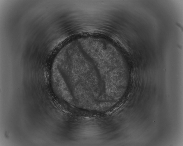 X0000092220822200710121155