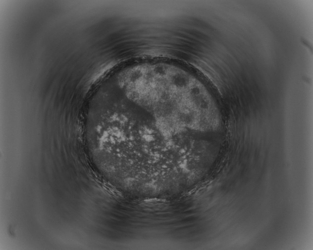 X0000092220823200710121155