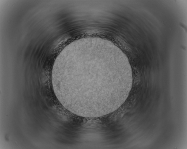 X0000092220824200710121155