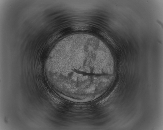 X0000092220825200710121155