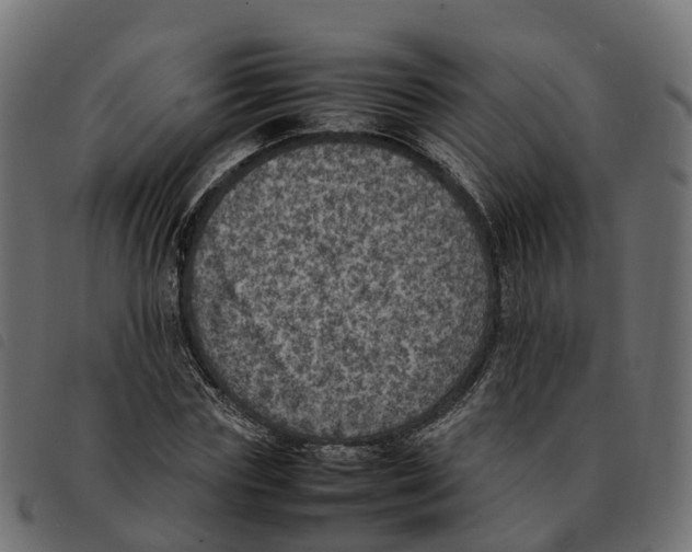 X0000092220827200710121155