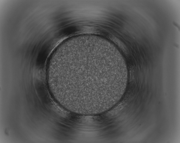 X0000092220828200710121155