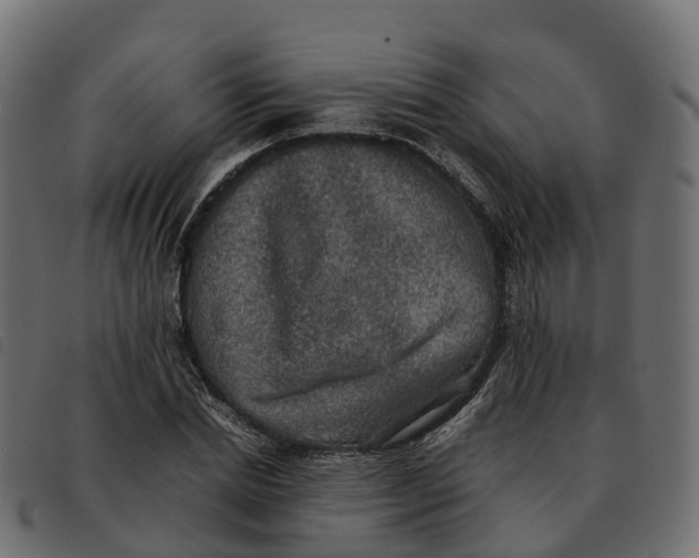 X0000092220830200710121155