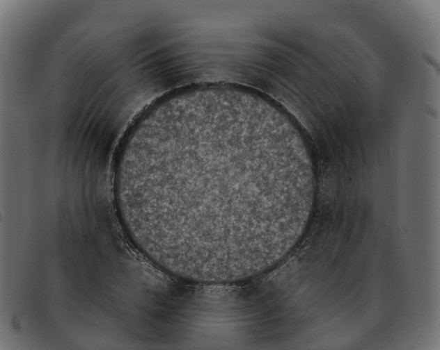 X0000092220832200710121155