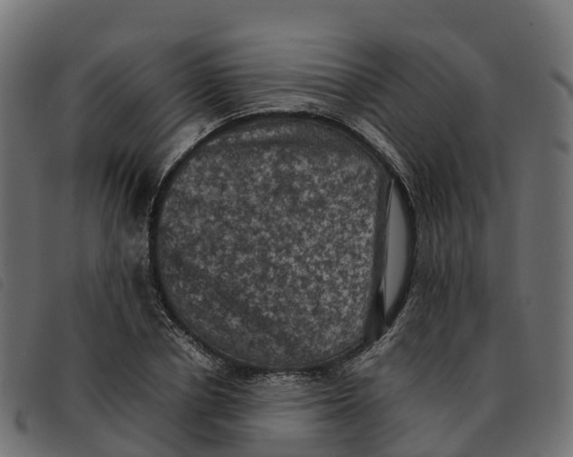 X0000092220834200710121155