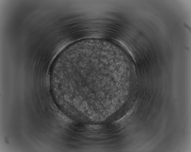 X0000092220835200710121155