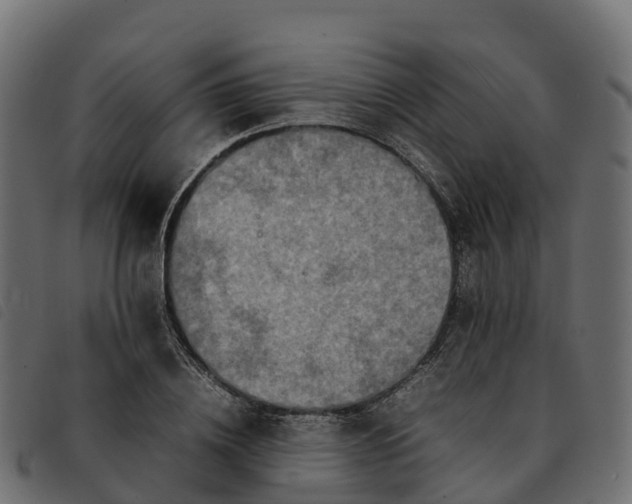 X0000092220836200710121155