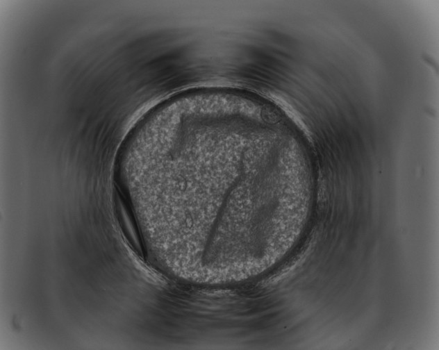 X0000092220837200710121155