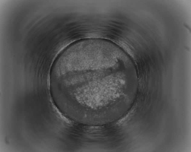 X0000092220839200710121155