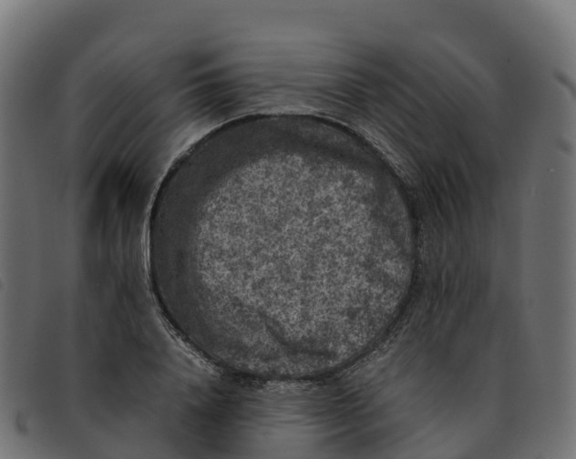 X0000092220840200710121155