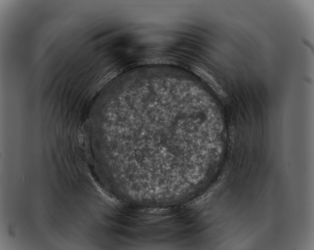 X0000092220841200710121155