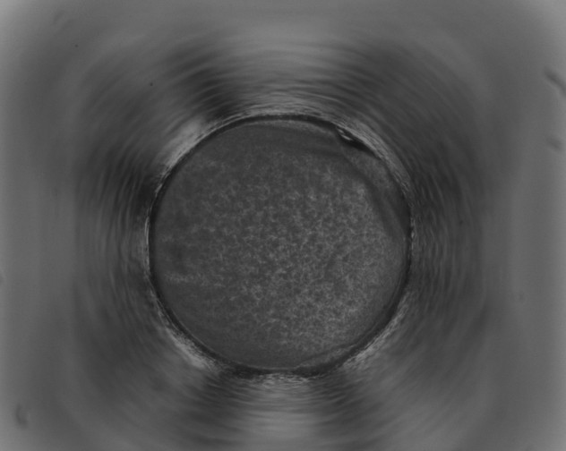 X0000092220842200710121155