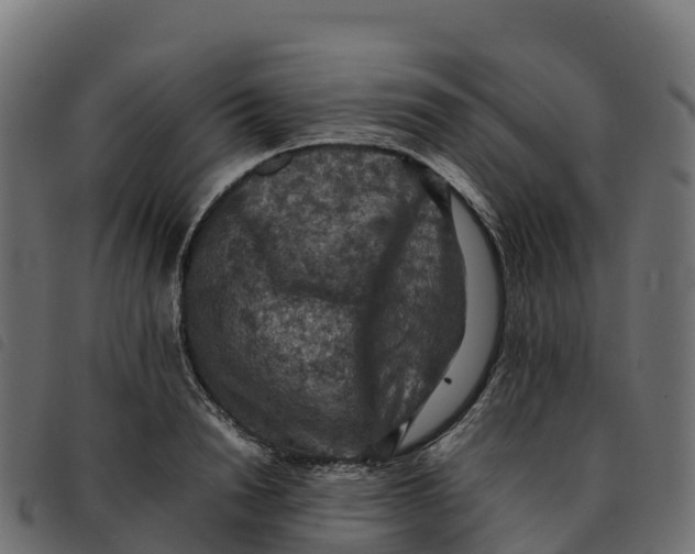 X0000092220846200710121155