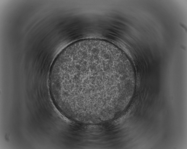X0000092220847200710121155