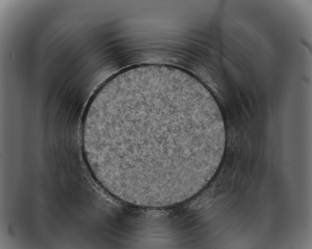X0000092220848200710121155